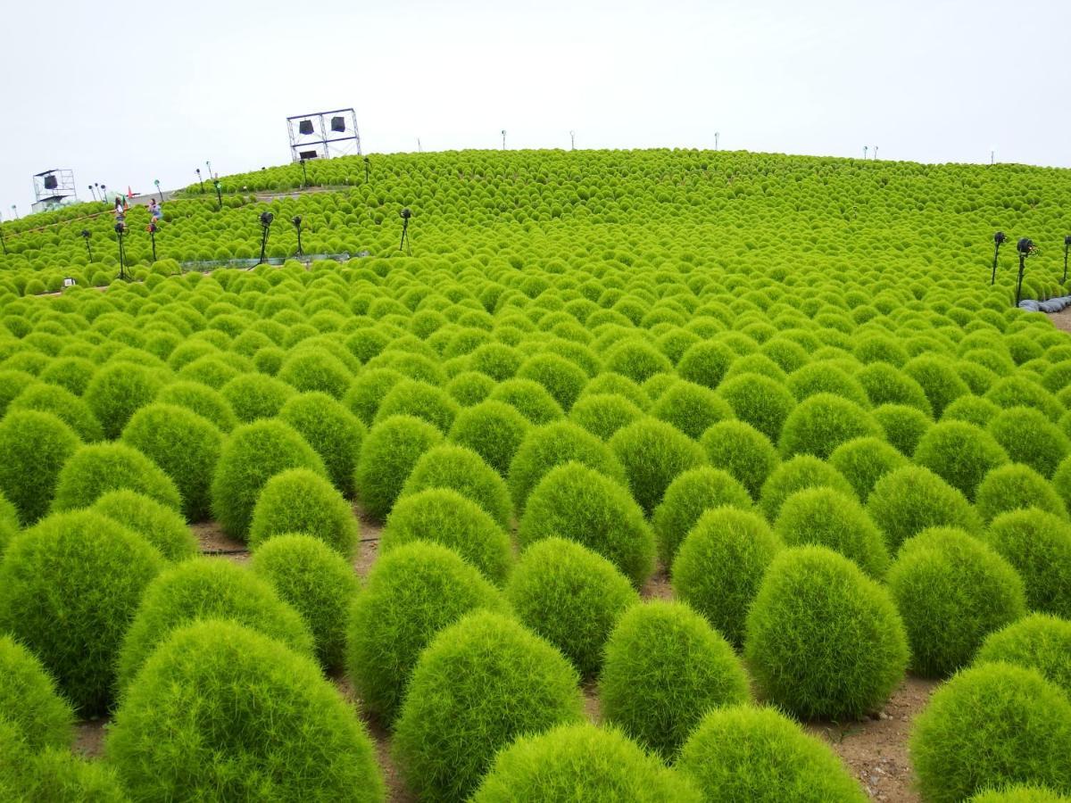 Kinugawa Club Hotel Kinsenkaku Никко Экстерьер фото